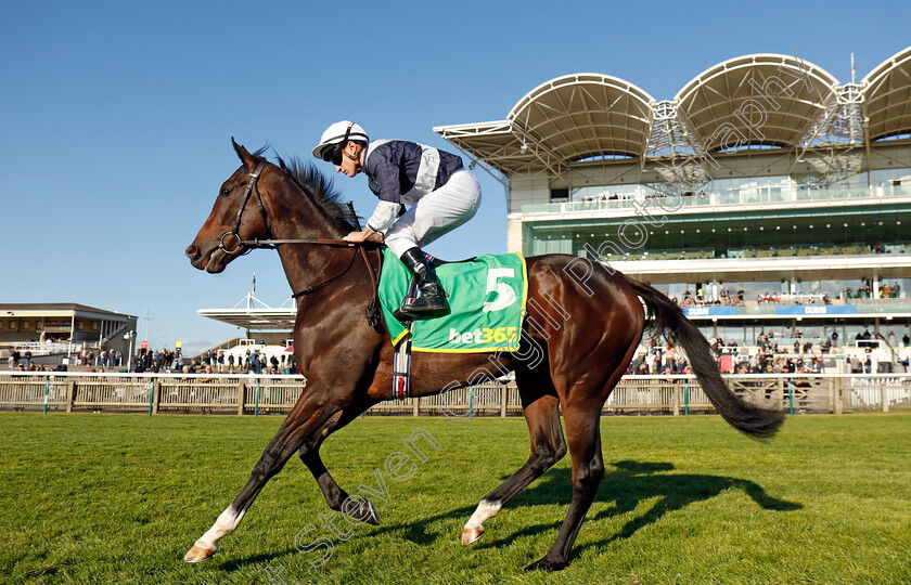 Dreamy-0001 
 DREAMY (Tom Marquand)
Newmarket 11 Oct 2024 - Pic Steven Cargill / Racingfotos.com