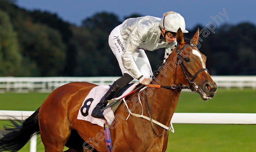 True-Wisdom-0001 
 TRUE WISDOM (James Doyle)
Kempton 28 Aug 2024 - Pic Steven Cargill / Racingfotos.com