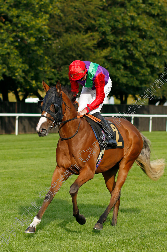 Say-Hello-0007 
 SAY HELLO (James Doyle) winner of The Visit racingtv.com Nursery
Newmarket 28 Jul 2023 - Pic Steven Cargill / Racingfotos.com