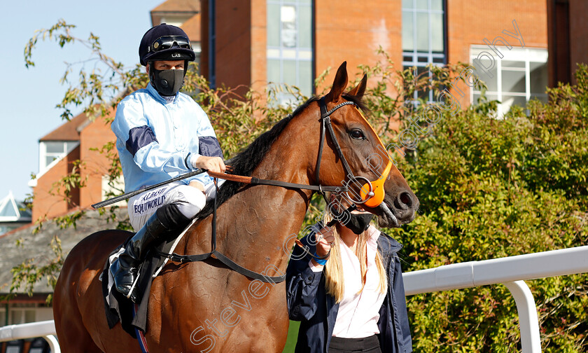 Rhythm-0001 
 RHYTHM (Pat Dobbs)
Newbury 18 Sep 2020 - Pic Steven Cargill / Racingfotos.com