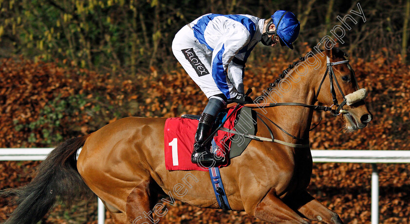 Vivency-0001 
 VIVENCY (Daniel Muscutt)
Kempton 13 Jan 2021 - Pic Steven Cargill / Racingfotos.com