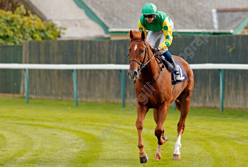 Eye-Burner-0001 
 EYE BURNER (Alistair Rawlinson) Yarmouth 19 Sep 2017 - Pic Steven Cargill / Racingfotos.com