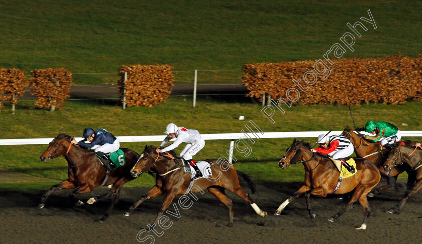 Rangali-Island-0003 
 RANGALI ISLAND (Callum Shepherd) beats KING'S SLIPPER (centre) and MERCHANT OF VENICE (right) in The 32Red Handicap
Kempton 29 Jan 2020 - Pic Steven Cargill / Racingfotos.com