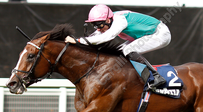 First-Eleven-0004 
 FIRST ELEVEN (Robert Havlin) wins The Lavazza Handicap
Ascot 8 Sep 2018 - Pic Steven Cargill / Racingfotos.com