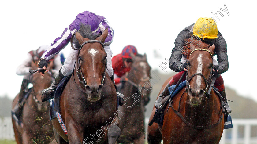 Kew-Gardens-0005 
 KEW GARDENS (left, Donnacha O'Brien) beats STRADIVARIUS (right) in The Qipco British Champions Long Distance Cup
Ascot 19 Oct 2019 - Pic Steven Cargill / Racingfotos.com