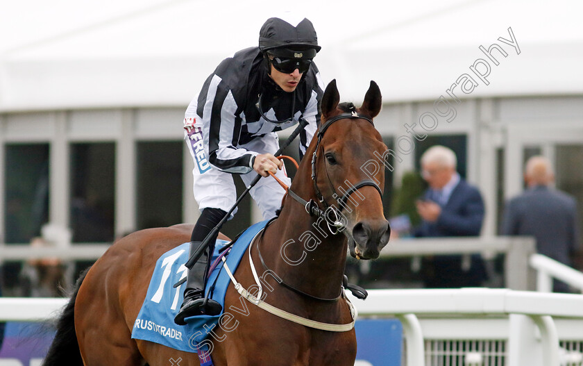 Benacre-0002 
 BENACRE (Richard Kingscote)
Epsom 31 May 2024 - Pic Steven Cargill / Racingfotos.com