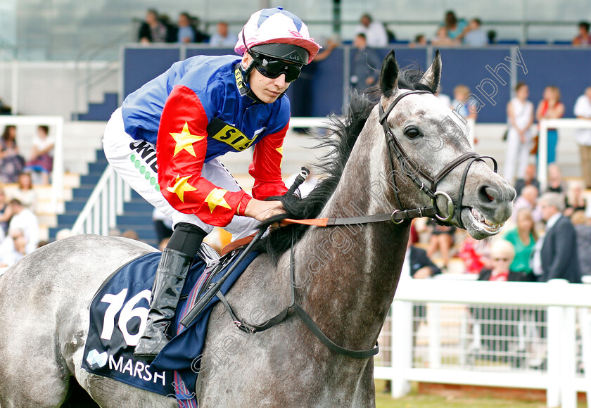 Al-Kout-0001 
 AL KOUT (Luke Morris)
Newbury 20 Jul 2019 - Pic Steven Cargill / Racingfotos.com