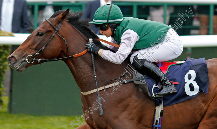 Kryptos-0007 
 KRYPTOS (Nicola Currie) wins The P J Towey Construction Ltd Handicap Doncaster 16 Sep 2017 - Pic Steven Cargill / Racingfotos.com