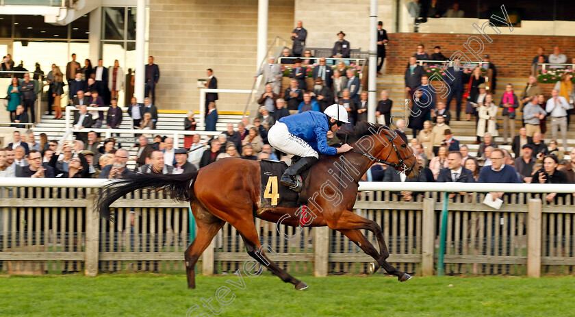 Ottoman-Fleet-0001 
 OTTOMAN FLEET (Ryan Moore) wins The National Stud Welcomes Stradivarius James Seymour Stakes
Newmarket 29 Oct 2022 - Pic Steven Cargill / Racingfotos.com