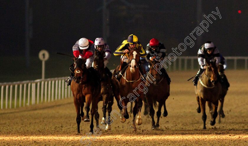 Combine-0001 
 COMBINE (left, Tom Marquand) beats MY GIRL MAGGIE (centre) in The Betway Handicap
Wolverhampton 1 Feb 2021 - Pic Steven Cargill / Racingfotos.com