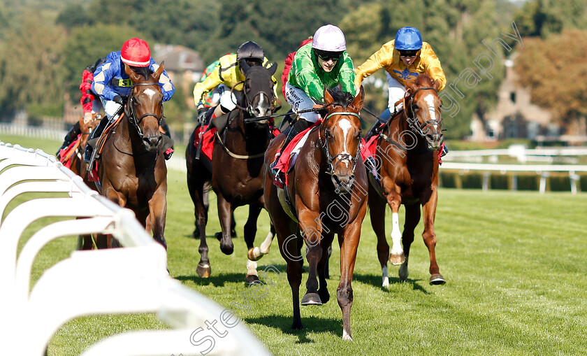 Barristan-The-Bold-0001 
 BARRISTAN THE BOLD (Richard Kingscote) wins The 188bet Supports The NSPCC Nursery
Sandown 1 Sep 2018 - Pic Steven Cargill / Racingfotos.com