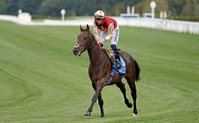 Without-Envy-0002 
 WITHOUT ENVY (David Probert)
Ascot 1 Oct 2021 - Pic Steven Cargill / Racingfotos.com