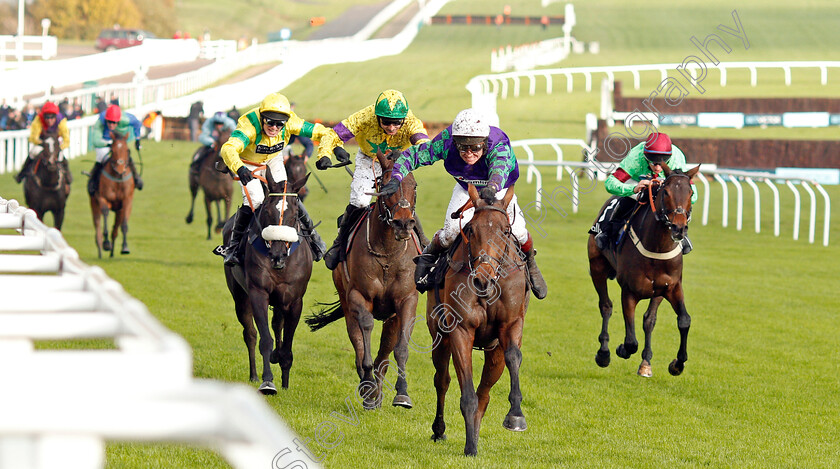 Thyme-Hill-0003 
 THYME HILL (Richard Johnson) wins The Ballymore Novices Hurdle
Cheltenham 16 Nov 2019 - Pic Steven Cargill / Racingfotos.com