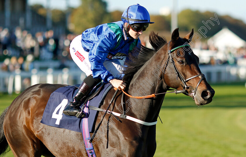 Bit-Harsh-0001 
 BIT HARSH (Hollie Doyle)
Yarmouth 18 Oct 2022 - Pic Steven Cargill / Racingfotos.com