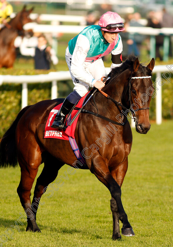 Time-Chaser-0001 
 TIME CHASER (Jim Crowley) Doncaster 11 Nov 2017 - Pic Steven Cargill / Racingfotos.com