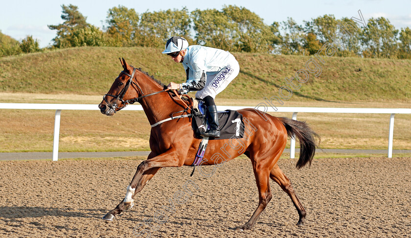 Strait-Of-Hormuz-0001 
 STRAIT OF HORMUZ (David Probert)
Chelmsford 4 Sep 2019 - Pic Steven Cargill / Racingfotos.com