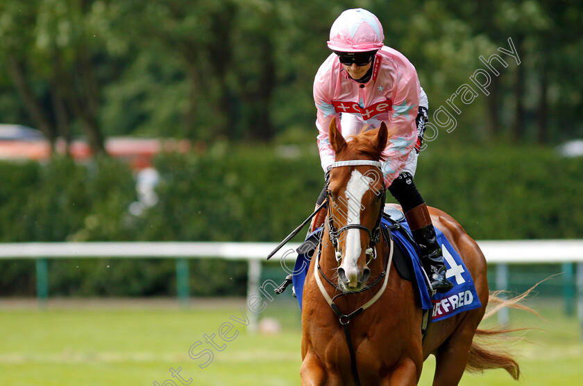 Live-In-The-Dream-0001 
 LIVE IN THE DREAM (Sean Kirrane)
Haydock 25 May 2024 - Pic Steven cargill / Racingfotos.com