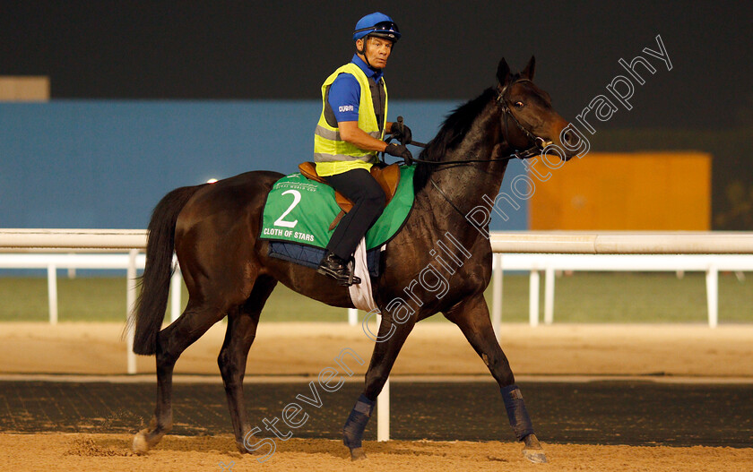 Cloth-Of-Stars-0001 
 CLOTH OF STARS exercising in preparation for the Dubai Sheema Classic Meydan 29 Mar 2018 - Pic Steven Cargill / Racingfotos.com