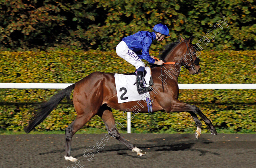 Al-Mustashar-0001 
 AL MUSTASHAR (Oisin Murphy) Kempton 18 Oct 2017 - Pic Steven Cargill / Racingfotos.com