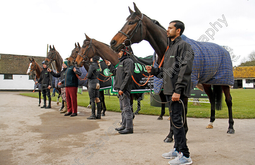 Apples-Shakira-and-co-0002 
 R to L; ALTIOR, MY TENT OR YOURS, BUVEUR D'AIR. MIGHT BITE and APPLE'S SHAKIRA at Nicky Henderson's stable in Lambourn 20 Feb 2018 - Pic Steven Cargill / Racingfotos.com