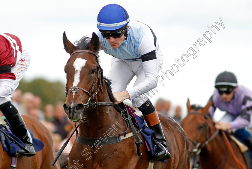 Premiere-Beauty-0001 
 PREMIERE BEAUTY (Dylan Hogan) wins The British EBF Fillies Novice Stakes
Yarmouth 15 Sep 2022 - Pic Steven Cargill / Racingfotos.com