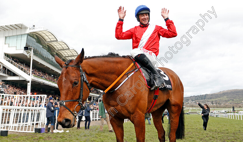 Envoi-Allen-0007 
 ENVOI ALLEN (Davy Russell) after The Ballymore Novices Hurdle
Cheltenham 11 Mar 2020 - Pic Steven Cargill / Racingfotos.com