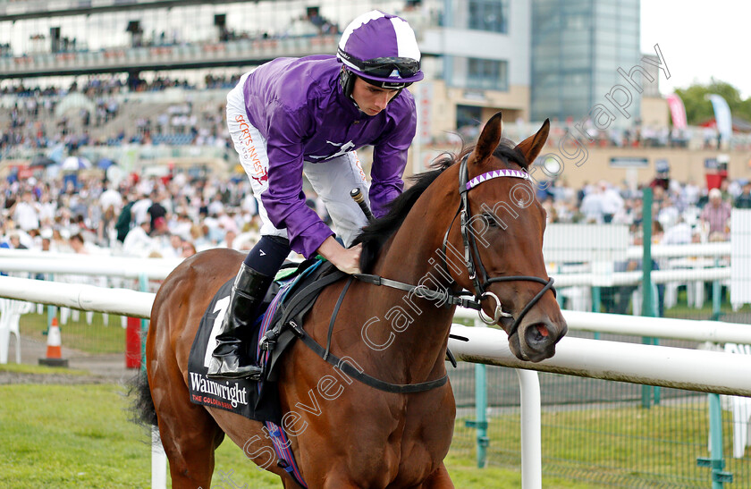 Thunder-Love-0001 
 THUNDER LOVE (Rossa Ryan)
Doncaster 10 Sep 2021 - Pic Steven Cargill / Racingfotos.com