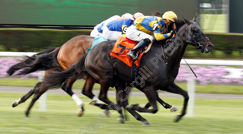 Captain-Hardship-0001 
 CAPTAIN HARDSHIP (Jose Ortiz) wins Maiden Special Weight
Belmont Park 8 Jun 2018 - Pic Steven Cargill / Racingfotos.com