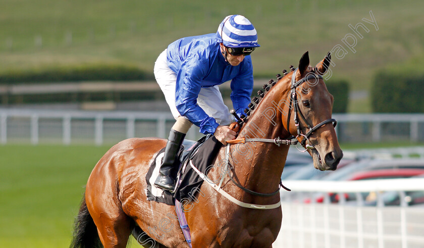 West-End-Charmer-0002 
 WEST END CHARMER (Joe Fanning)
Goodwood 22 Sep 2021 - Pic Steven Cargill / Racingfotos.com