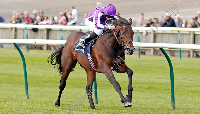 Wichita-0004 
 WICHITA (Ryan Moore) wins The Tattersalls Stakes
Newmarket 26 Sep 2019 - Pic Steven Cargill / Racingfotos.com