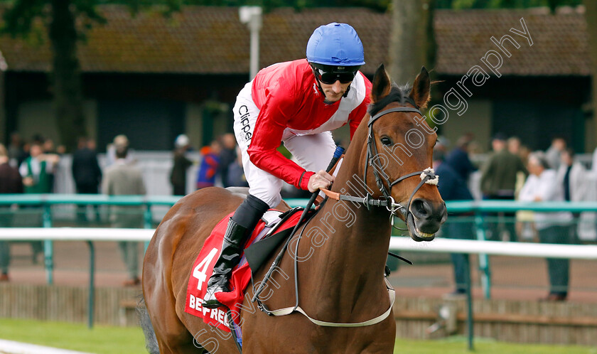 Esquire-0001 
 ESQUIRE (Daniel Tudhope)
Haydock 25 May 2024 - Pic Steven cargill / Racingfotos.com