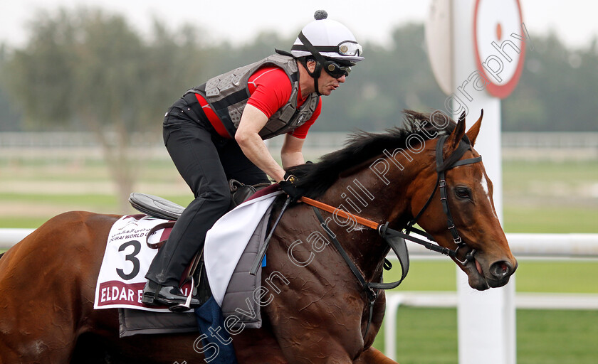 Eldar-Eldarov-0005 
 ELDAR ELDAROV training for the Dubai Gold Cup
Meydan Dubai 26 Mar 2024 - Pic Steven Cargill / Racingfotos.com