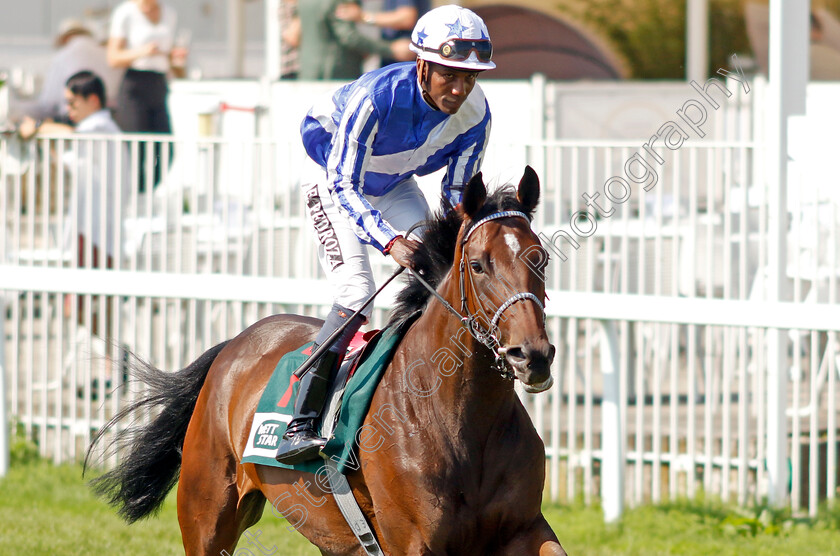 Mathayl-0001 
 MATHAYL (Eduardo Pedroza) 
Baden Baden 1 Sep 2024 - Pic Steven Cargill / Racingfotos.com