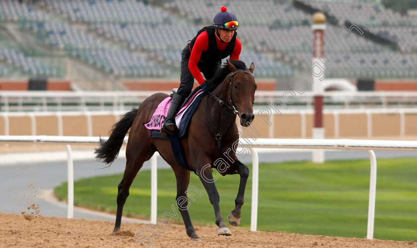 Jahbath-0004 
 JAHBATH training for the UAE Derby
Meydan 27 Mar 2019 - Pic Steven Cargill / Racingfotos.com