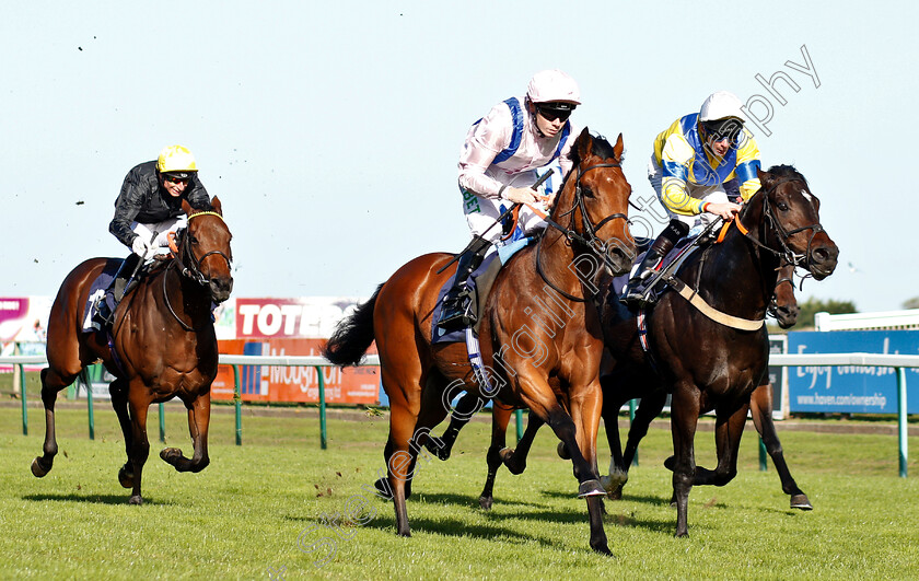 Glorious-Charmer-0005 
 GLORIOUS CHARMER (centre, Jamie Spencer) beats MASTER MATT (right) in The Grosvenor Casino Of Great Yarmouth Nursery
Yarmouth 23 Oct 2018 - Pic Steven Cargill / Racingfotos.com