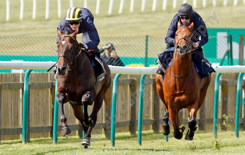 Sakheer-0006 
 SAKHEER (left, David Egan) with MITBAAHY (right) in racecourse gallop
Newmarket 18 Apr 2023 - Pic Steven Cargill / Racingfotos.com