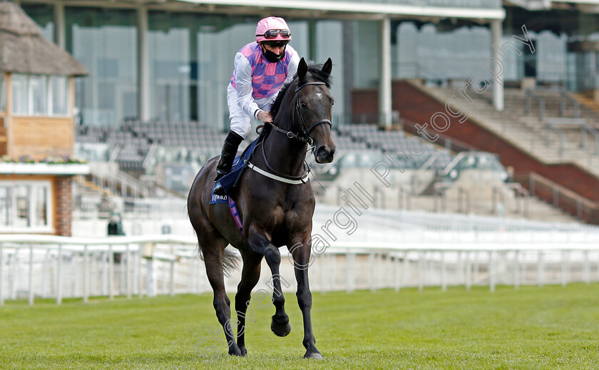 Pythagoras-0001 
 PYTHAGORAS (Paul Hanagan)
York 13 May 2021 - Pic Steven Cargill / Racingfotos.com