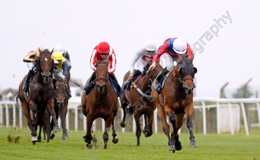 Mayo-Neighs-0006 
 MAYO NEIGHS (Rossa Ryan) wins The Breast Cancer UK Nursery
Yarmouth 21 Sep 2023 - Pic Steven Cargill / Racingfotos.com