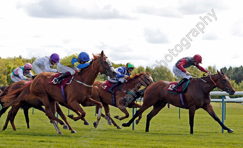 Molls-Memory-0002 
 MOLLS MEMORY (left, Oisin Murphy) beats FFION (right) in The Casumo Horse Racing And Sports Betting Handicap
Haydock 22 May 2021 - Pic Steven Cargill / Racingfotos.com