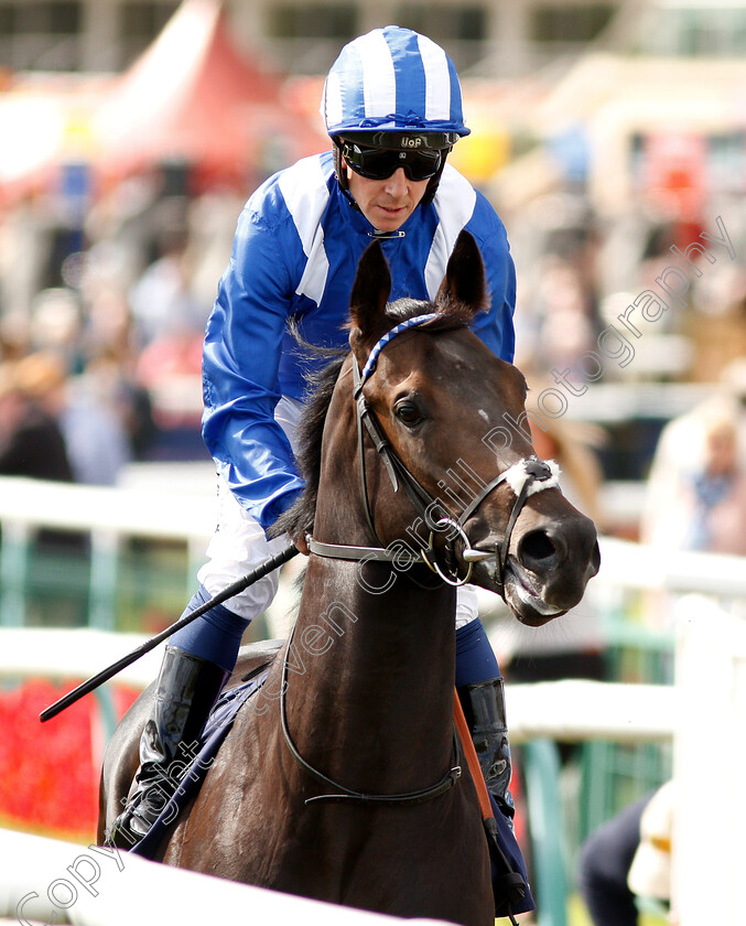 Khaadem-0001 
 KHAADEM (Jim Crowley) before winning The British Stallion Studs EBF Conditions Stakes
Doncaster 12 Sep 2018 - Pic Steven Cargill / Racingfotos.com