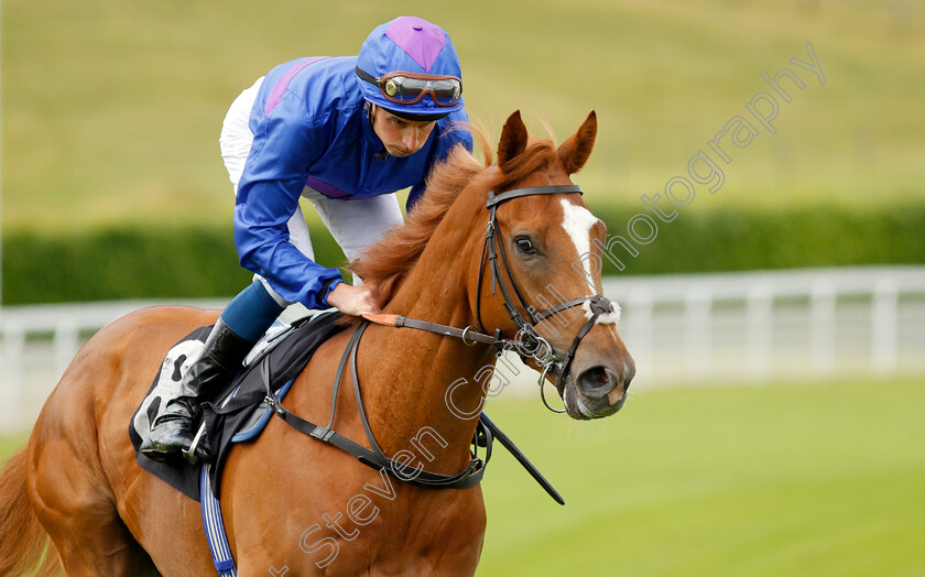 Secret-Army 
 SECRET ARMY (William Buick)
Goodwood 20 May 2022 - Pic Steven Cargill / Racingfotos.com