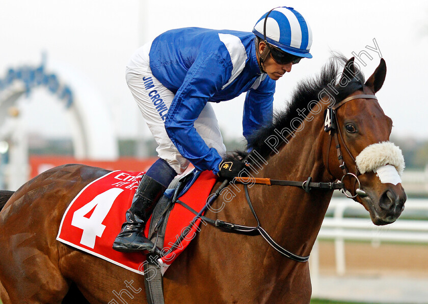 Moqtarreb-0001 
 MOQTARREB (Jim Crowley)
Meydan 7 Mar 2020 - Pic Steven Cargill / Racingfotos.com