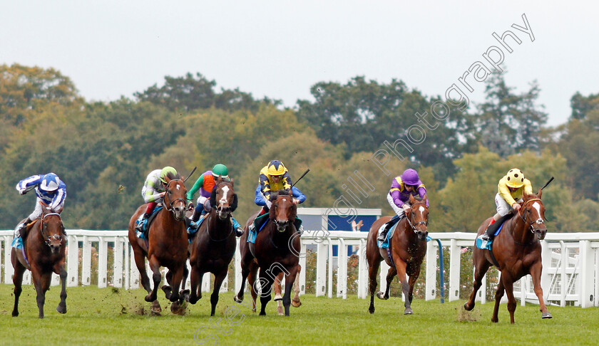 Cape-Byron-0001 
 CAPE BYRON (Andrea Atzeni) wins The John Guest Racing Bengough Stakes
Ascot 5 Oct 2019 - Pic Steven Cargill / Racingfotos.com