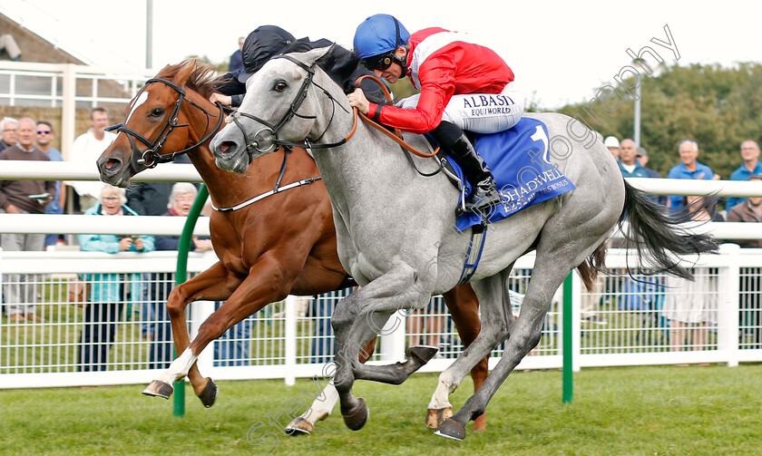 Dark-Lady-0002 
 DARK LADY (Pat Dobbs) beats MILLISLE (farside) in The Shadwell Dick Poole Stakes
Salisbury 5 Sep 2019 - Pic Steven Cargill / Racingfotos.com