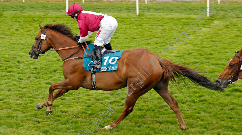 Mostawaa-0005 
 MOSTAWAA (Hollie Doyle) wins The Ice Co Supporting Macmillan Handicap
York 17 Jun 2023 - Pic Steven Cargill / Racingfotos.com