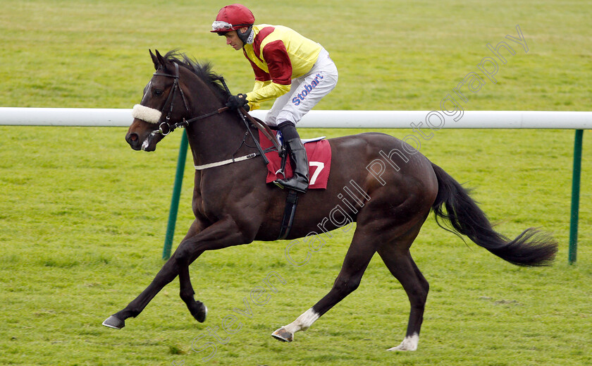 Minas-Gerais-0001 
 MINAS GERAIS (Tom Eaves)
Haydock 25 May 2018 - Pic Steven Cargill / Racingfotos.com