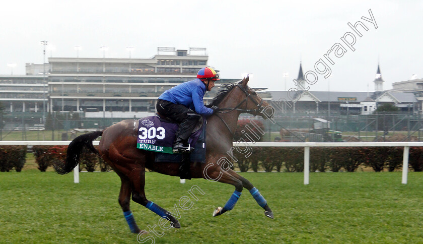 Enable-0002 
 ENABLE (Frankie Dettori) exercising ahead of The Breeders Cup Turf
Churchill Downs USA 1 Nov 2018 - Pic Steven Cargill / Racingfotos.com