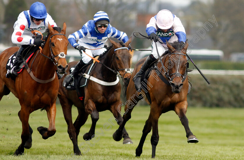 West-Balboa-0003 
 WEST BALBOA (Harry Skelton) wins The Village Hotels Handicap Hurdle
Aintree 15 Apr 2023 - Pic Steven Cargill / Racingfotos.com