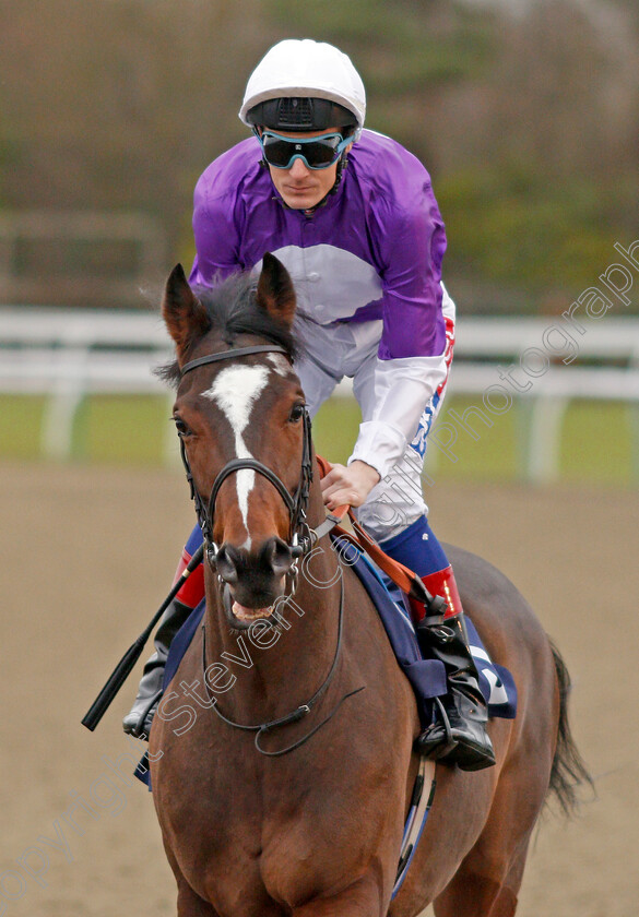 Intern-0002 
 INTERN (Fran Berry) Lingfield 6 Dec 2017 - Pic Steven Cargill / Racingfotos.com