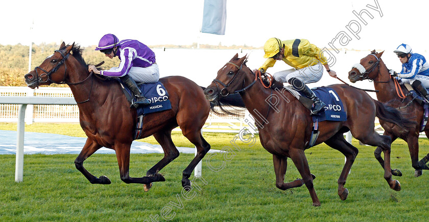 Magical-0002 
 MAGICAL (Donnacha O'Brien) beats ADDEYBB (right) in The Qipco Champion Stakes
Ascot 19 Oct 2019 - Pic Steven Cargill / Racingfotos.com